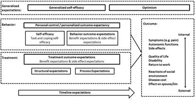 Patients’ Expectations Regarding Medical Treatment: A Critical Review of Concepts and Their Assessment